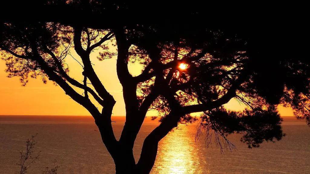 Canyelles Platja Hotel Roses 4*,